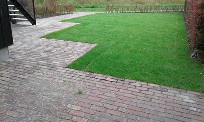 Tuin